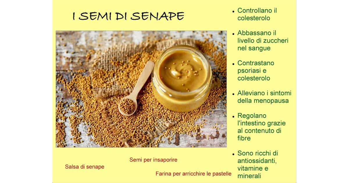 semi di senape-colesterolo-menopausa-fibre-Patrizia Di Mare-nutrizionista-Siracusa-Augusta-Lentini