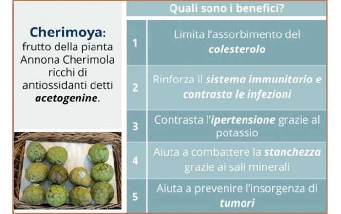 cherimoya-antiossidanti-stanchezza-Patrizia Di Mare-nutrizionista-Siracusa-Augusta-Lentini