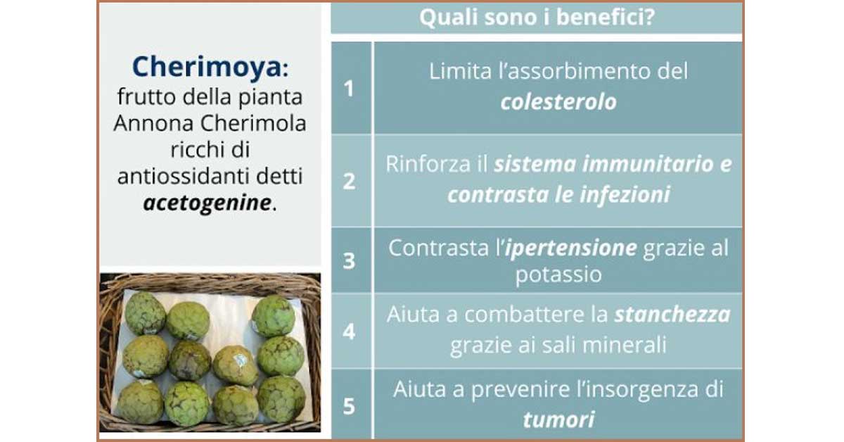 cherimoya-antiossidanti-stanchezza-Patrizia Di Mare-nutrizionista-Siracusa-Augusta-Lentini