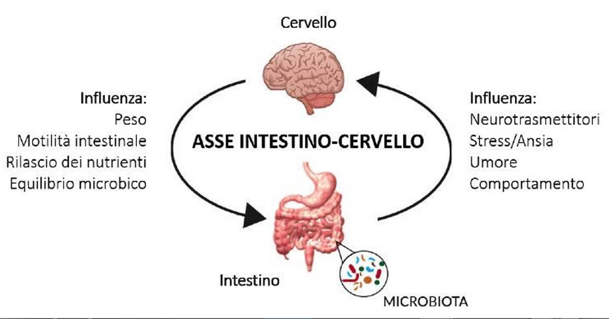 intestino-cervello-Patrizia Di Mare-nutrizionista-Siracusa-Augusta-Lentini